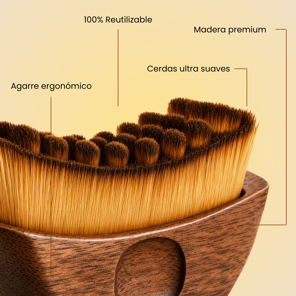 Detalle del cepillo facial: madera premium, cerdas ultra suaves, agarre ergonómico y reutilizable